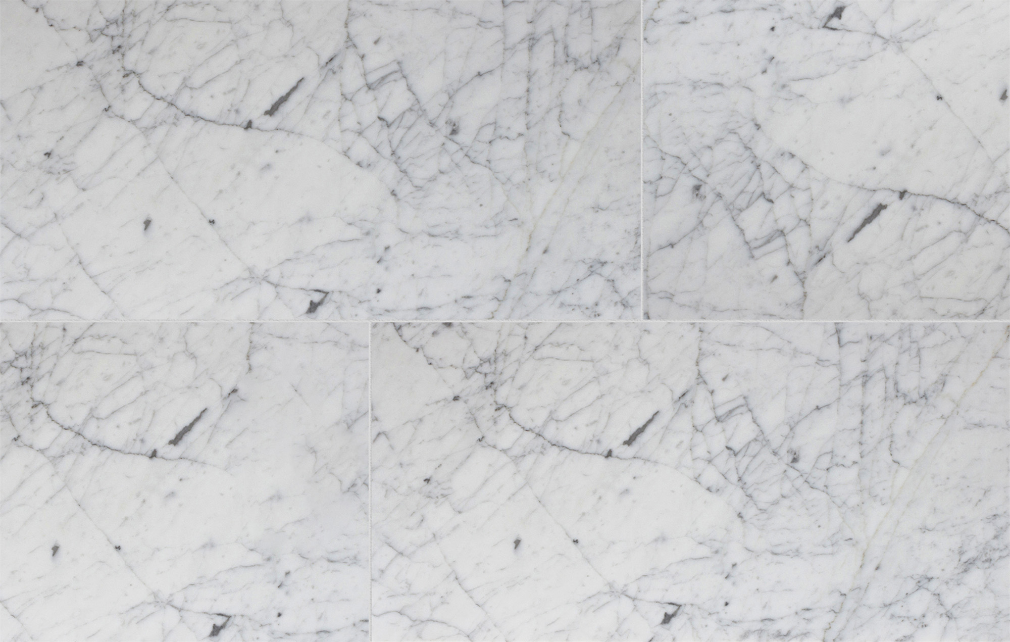 WHITE VENATINO 12X24X3/8 HONED - Walker Zanger