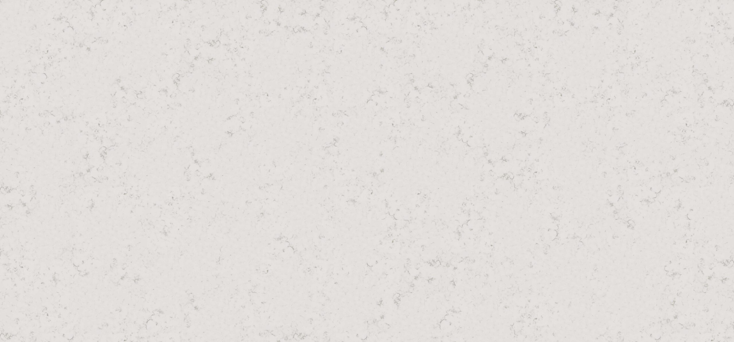 【美品】BLANC.. BE005 - SILVER 1 1/4 Slab Chantilly Brushed - Walker Zanger