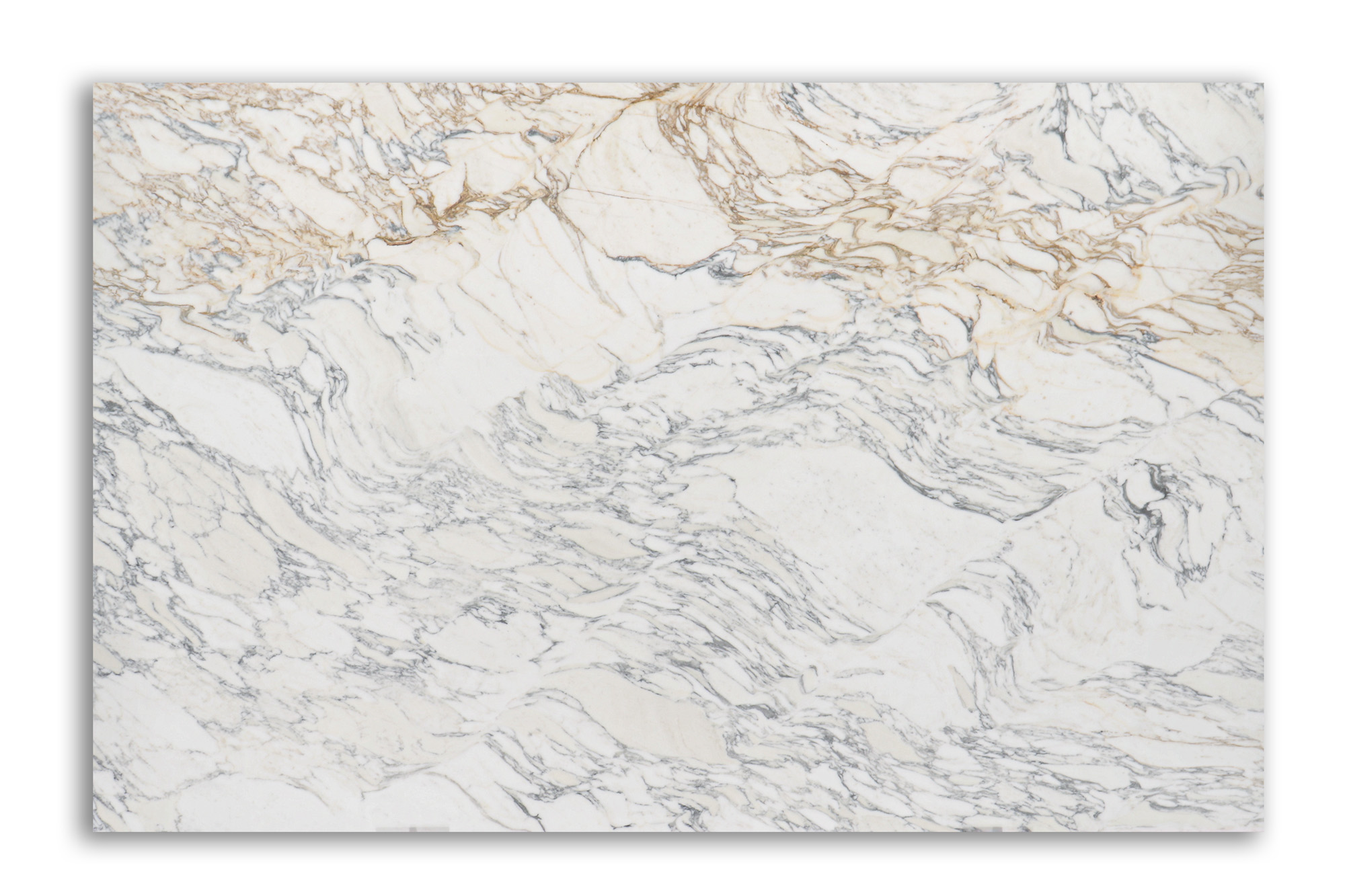 1 1/4 Slab Arabescato Corchia Honed - Walker Zanger