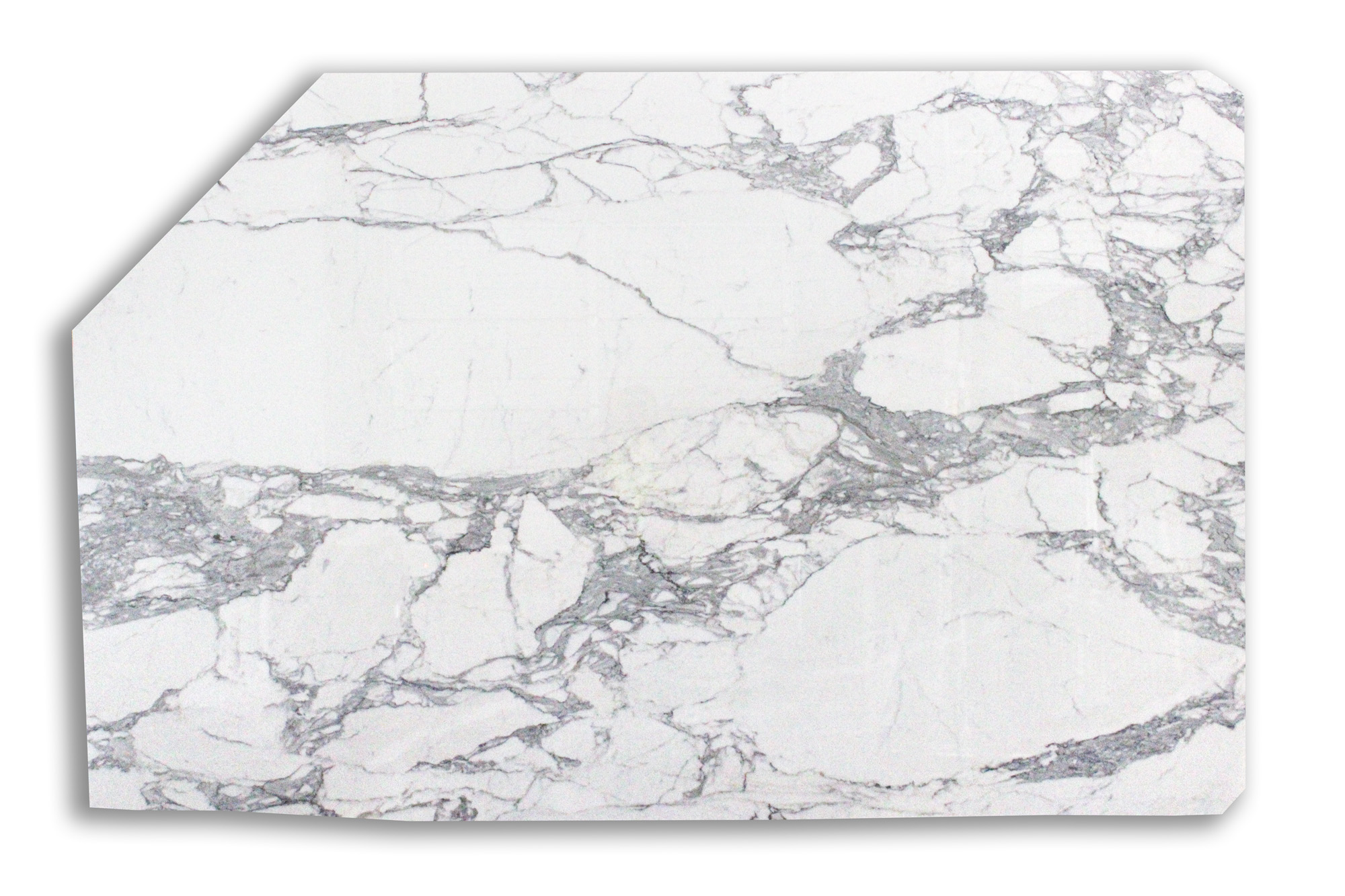 ZCWO Fools Paradise Super Professional XL H50CM Designer