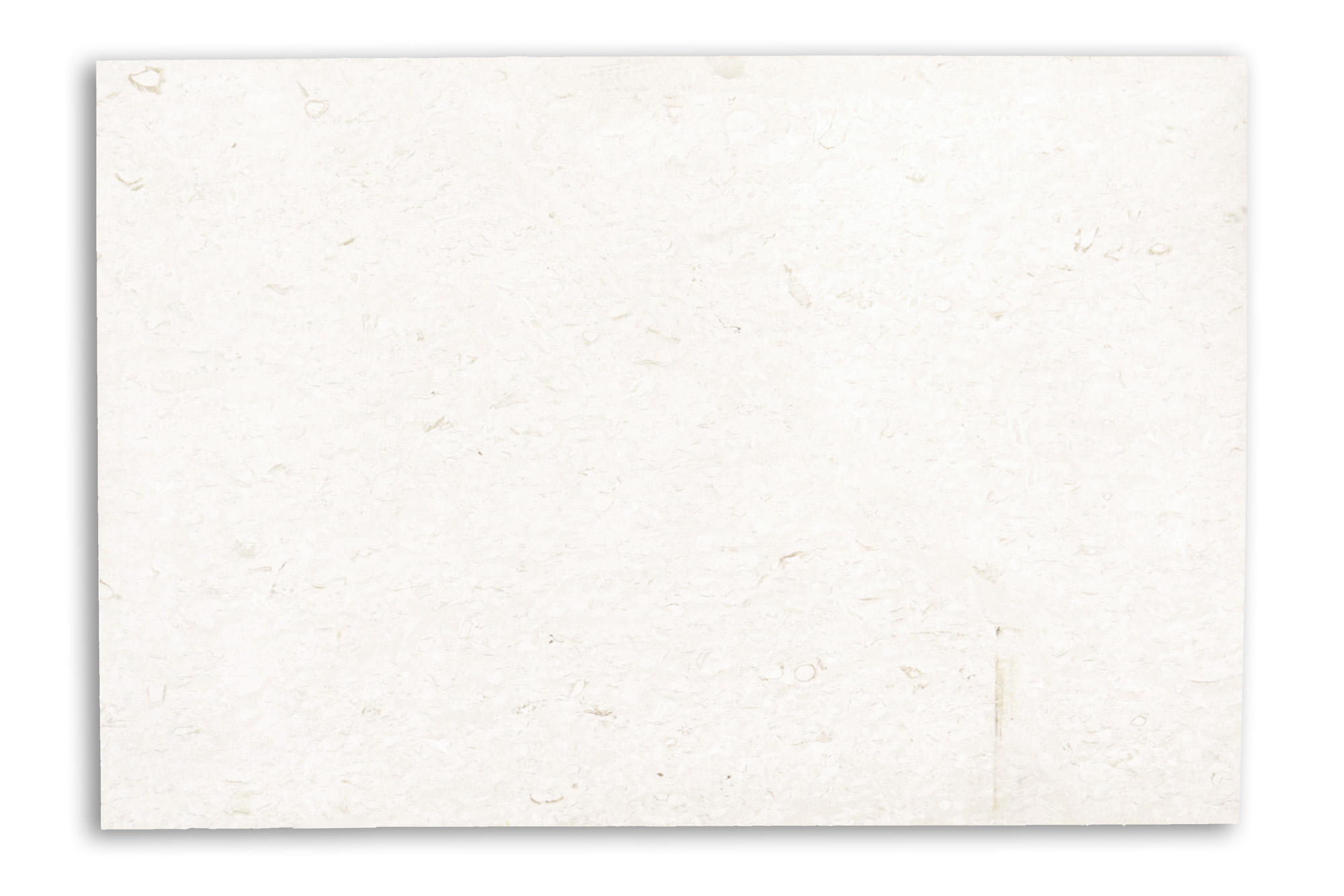 1 1/4 Slab Seychelles Leather - Walker Zanger